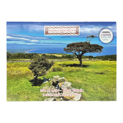 2025- ISLE OF MAN  DELUXE WALL CALENDAR  MG 556