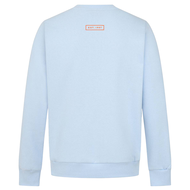 LIGHT BLUE STRIPE SWEATSHIRT 492S