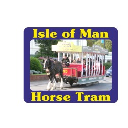 MANX HORSE TRAM PIN BADGE MG 591