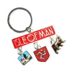 WHEEL - SHIELD - CAT KEYRING MG 821