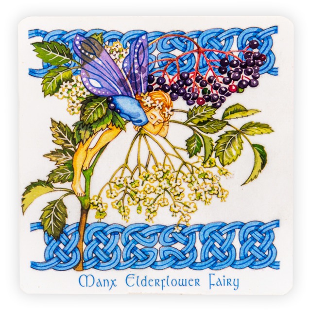 MANX FAIRY SET OF 6 CORK BACKED COASTERS MG 136