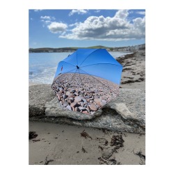 POINT OF AYRE - Large Golf size umbrellas 31