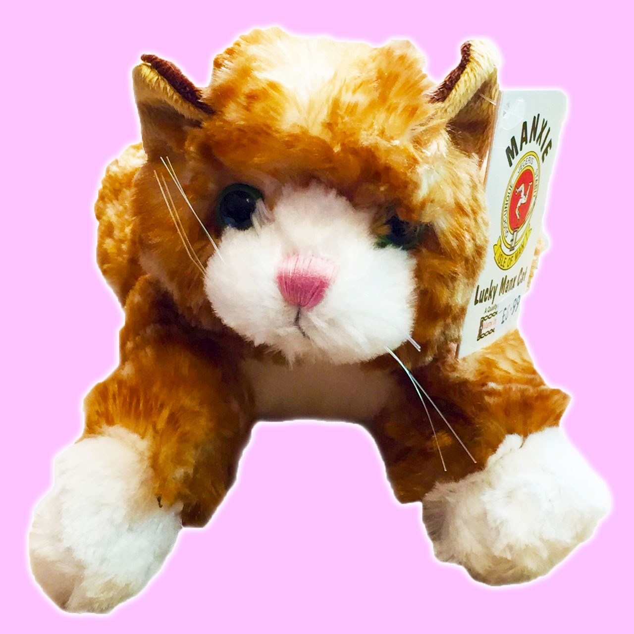 cat cuddly toy